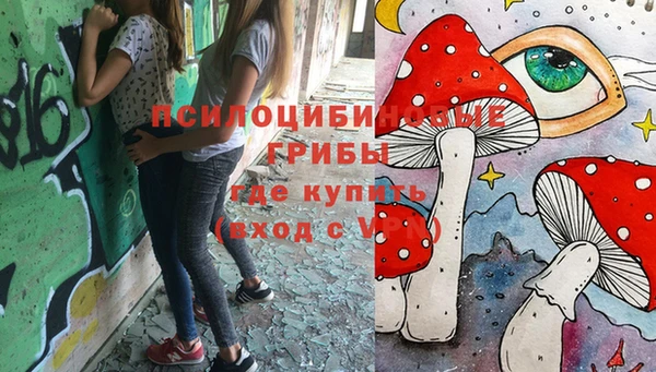 PSILOCYBIN Абинск