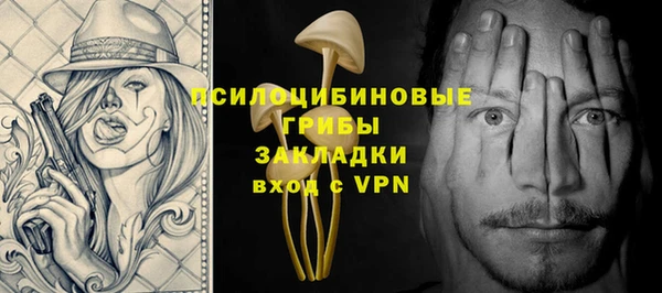 PSILOCYBIN Абинск
