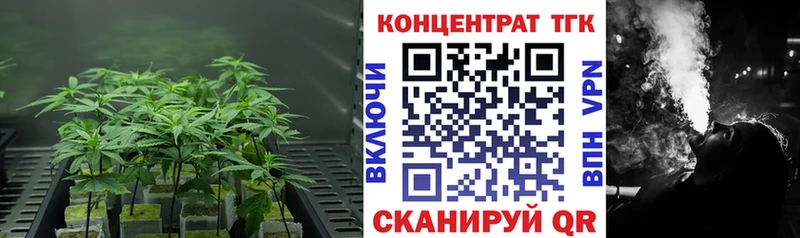 ТГК концентрат  Шали 