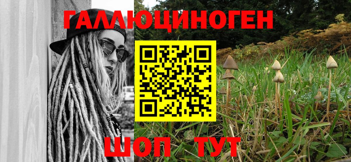 Шали  Псилоцибиновые грибы мицелий  как найти наркотики  Вход с VPN 
